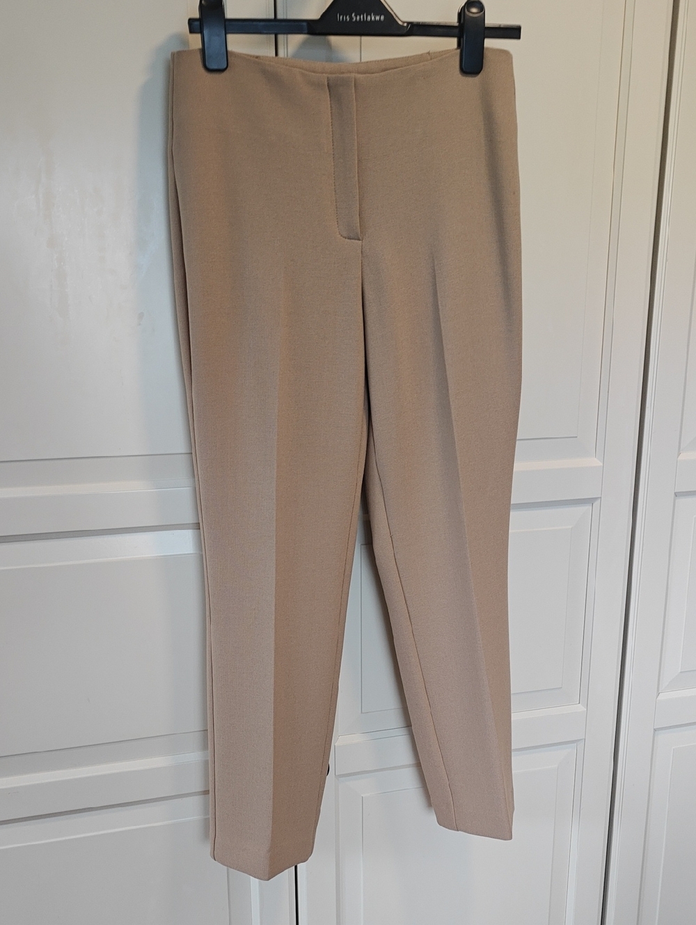 Iris Setlakwe Straight-Leg Trousers in Beige